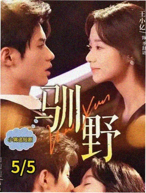 梦华录